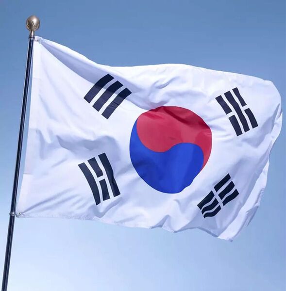 韓国 大韓民国 国旗 フラッグ 応援 送料無料 150cm x 90cm 新品
