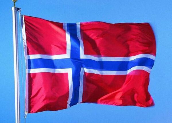ノルウェー 国旗 フラッグ 応援 送料無料 150cm x 90cm 新品 flag 旗 サッカー