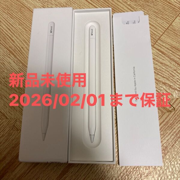 新品未使用 保証付 Apple Pencil (USB-C) アップルペンシル MUWA3ZA/A A3085 アップル13800