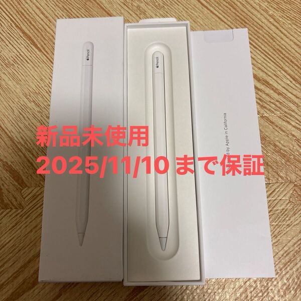 新品未使用 保証付 Apple Pencil (USB-C) アップルペンシル MUWA3ZA/A A3085 アップル13800