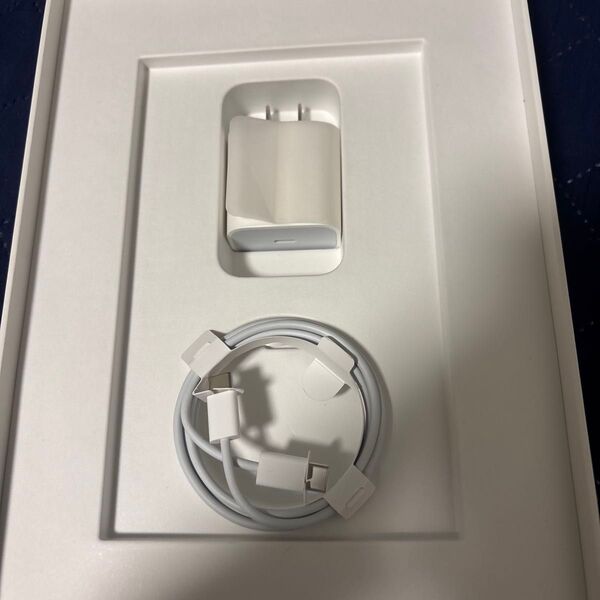 iPad 付属品① 1個 新品未使用 アップル 純正 Apple USB-C 電源アダプター 純正usb-Cケーブル1m