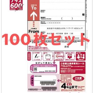 日本郵便 レターパックプラス 600円 未使用 新料金 現行柄 料額