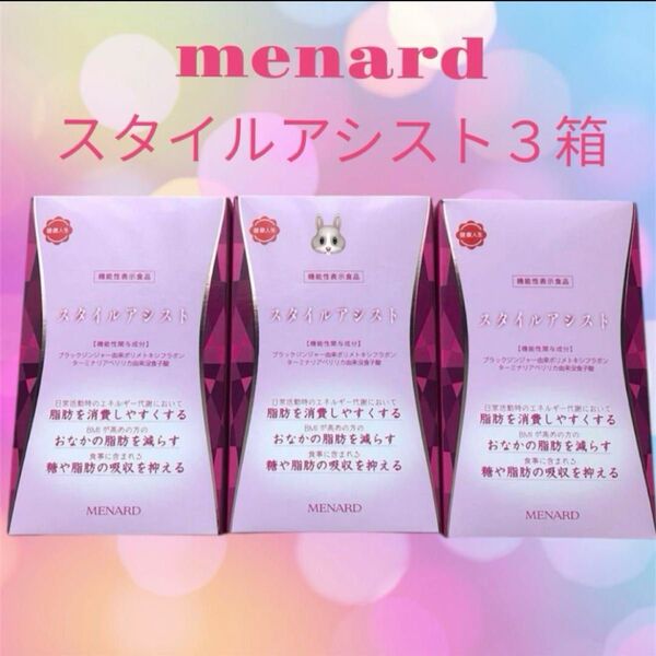 メナード スタイルアシスト 3箱セットダイエットサプリ 45粒×2袋×3 最終値下げ