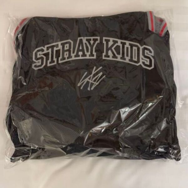Stray Kids アップグレードグッズ 静岡エコパスタジアム 抜け無し 新品