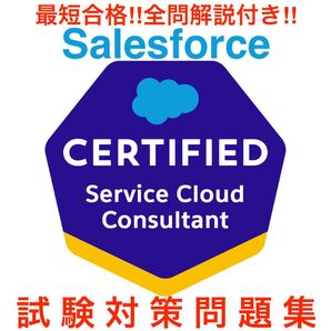 Salesforce Service Cloud Consultant 対策問題