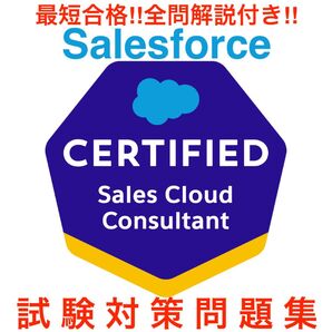 Salesforce Sales Cloud Consultant 対策問題