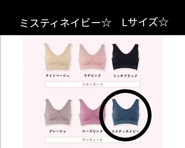 ジニエインテグレートブラ☆ ミスティネイビー☆ Lサイズ☆ 洗濯ネットつき☆