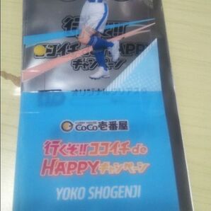 ココイチ CoCo壱番屋 日向坂46 キャンペーン オリジナルクリアスタンド 正源司陽子