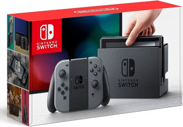Nintendo Switch グレー 本体・Joy-Con・本体用ケースセット