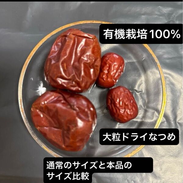 有機栽培100% 無添加・無農薬 ドライなつめ 1kg