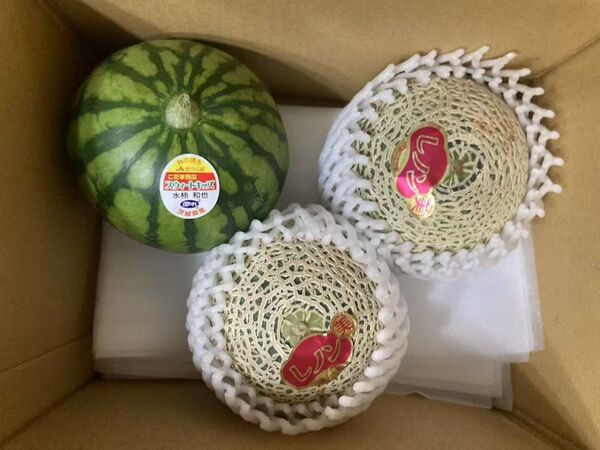 703.早勝ちお買い得数量限定小玉すいか1玉+赤肉小玉メロン2玉入り