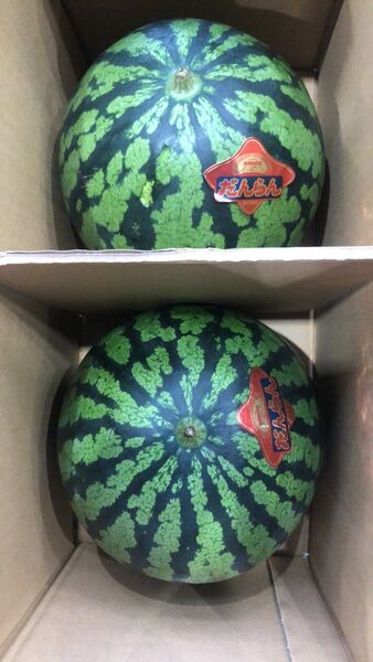 609.数量限定だんらん西瓜秀品2S 2玉入り箱込み6-6.5Kg