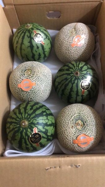 698.早勝ちお買い得小玉すいか3玉+赤肉メロン3玉入り箱込み約4.8kg前後