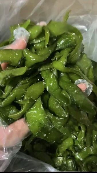 587.最新年度 塩蔵茎わかめ 徳島県産 ネコポス箱込み1kg