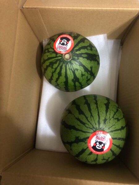 574.数量限定小玉西瓜 スイカ2玉入り