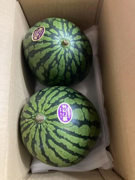 583.数量限定希少黄肉小玉西瓜スイカ2玉入り箱込み3.3Kg前後