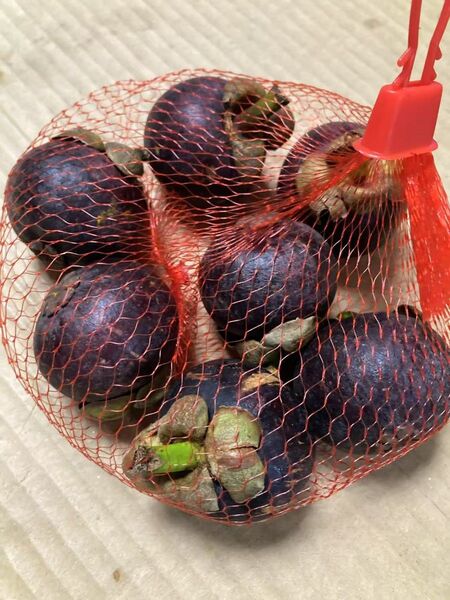 598.新鮮マンゴスチン 山竹 美の宝石 2パック入り約1kg8〜14玉入り玉数お任せ常温発送