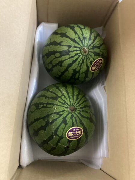 608.数量限定希少黄肉小玉西瓜スイカ2玉入り箱込み2.8-3Kg前後