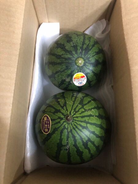 613.薄皮小玉黄肉クリーム西瓜1玉+小玉赤肉西瓜1玉箱込み約2.7kg