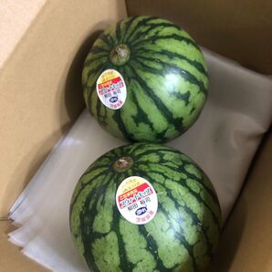 615.数量限定 小玉西瓜 小スイカ2玉入り