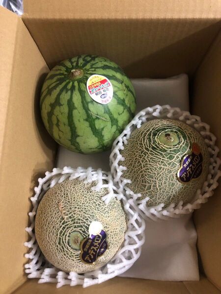 632.早勝ちお買い得数量限定小玉すいか1玉+青肉小玉メロン2玉入り