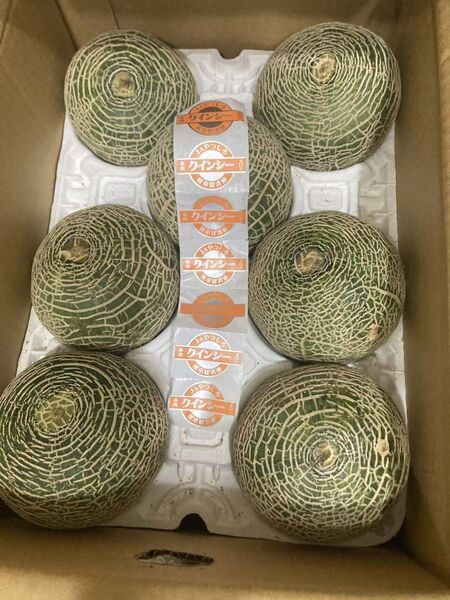 635.特売数量限定 赤肉メロン6〜8玉入り満杯品種お任せ