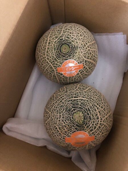 677.数量限定 赤肉メロン秀品2玉入り