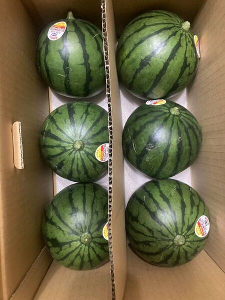 717.数量限定小玉西瓜 スイカ6玉入り