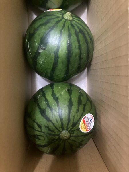 724.数量限定 小玉西瓜 小スイカ2玉入り
