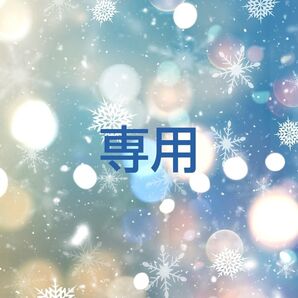 花の種 八重のストック アプリコット20粒 他 計3点