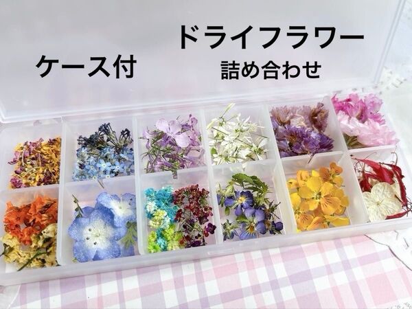 ドライフラワー 詰め合わせ レジン ハーバリウム ハンドメイド おすそわけ ケース入り