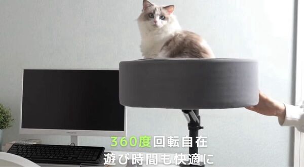 LOE(ロエ) 新発想 キャットアーム 猫ベッド|省スペース 多頭飼い対応 デスク取り付け型 スタンド キャットタワー