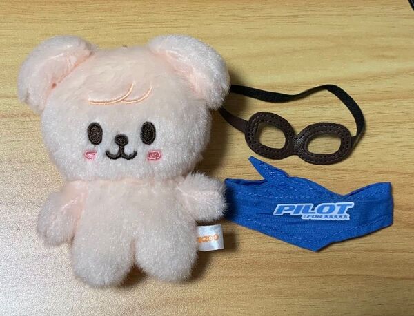 SKZOO パピーム 10cm PLUSH 中古 スンミン StrayKids スキズ