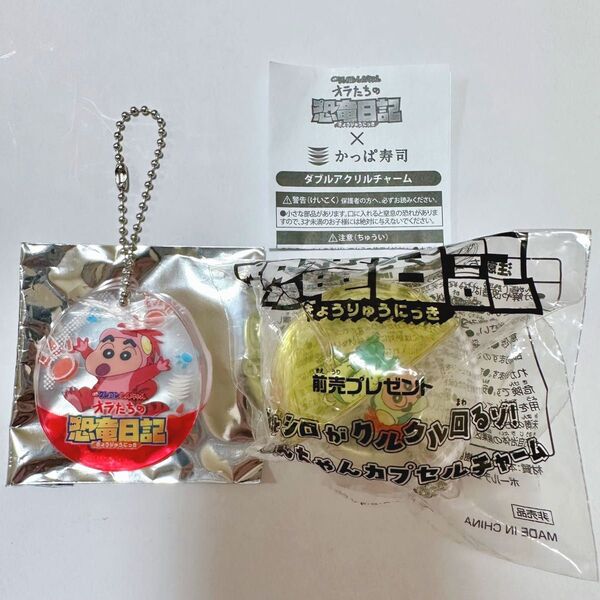 クレヨンしんちゃん 恐竜日記 カプセルチャーム ダブルアクリルチャーム