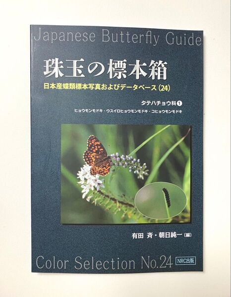 珠玉の標本箱 日本産蝶類標本写真データベース 24 タテハチョウ科 ヒョウモンモドキ ウスイロヒョウモンモドキ コヒョウモンモドキ