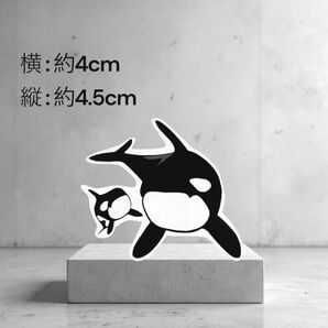 シール ステッカー
