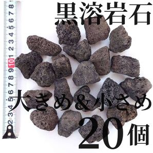 溶岩石 大きめ&小さめ 20個(テラリウム・コケリウム・アクアリウムにぴったり)