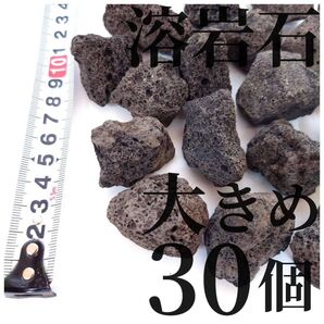 溶岩石 大きめ30個(テラリウム・コケリウム・アクアリウムにぴったり)
