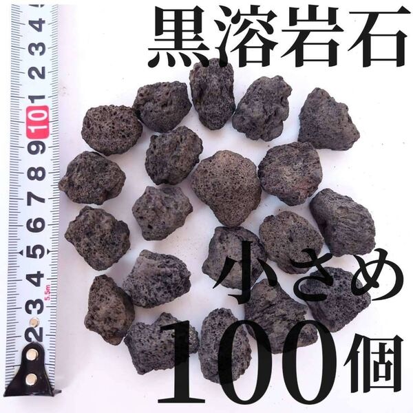溶岩石 小さめ100個(テラリウム・コケリウム・アクアリウムにぴったり)