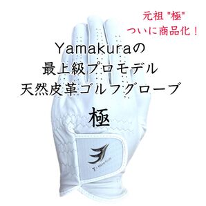 極ロゴ有 プロモデル ゴルフグローブ 左手着用 21~26cmから1枚をお選び下さい 天然皮革 ゴルフグローブ プロモデル 手袋