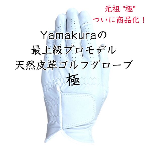 極ロゴ無 プロモデル ゴルフグローブ 左手着用 21~26cmから1枚をお選び下さい 天然皮革 ゴルフ グローブ プロモデル