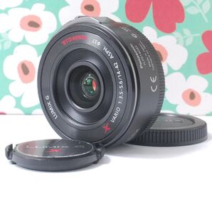 ★パワーズーム★LUMIX G X VARIO H-PS14042★