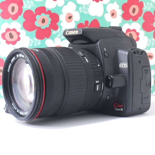 ★近くも遠くも撮影★Canon kiss Nレンズキット★スマホに転送★