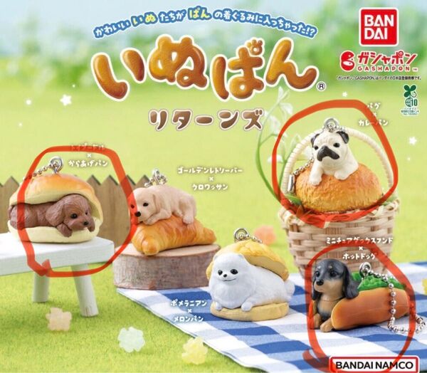 【3個セット】バンダイ いぬぱん リターンズ ガチャ3個セット