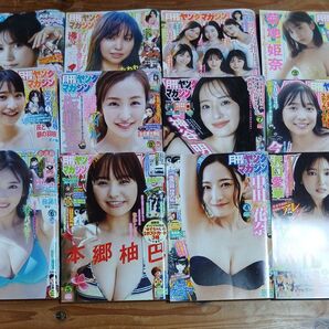月刊ヤングマガジン ヤングマガジン増刊 付録あり