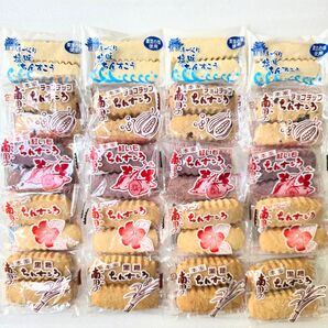 沖縄銘菓【5種類 ちんすこう 20袋(1袋2個入)=計40個入】 訳あり お菓子 詰め合わせ 南国 ながはまは ●注意事項あり