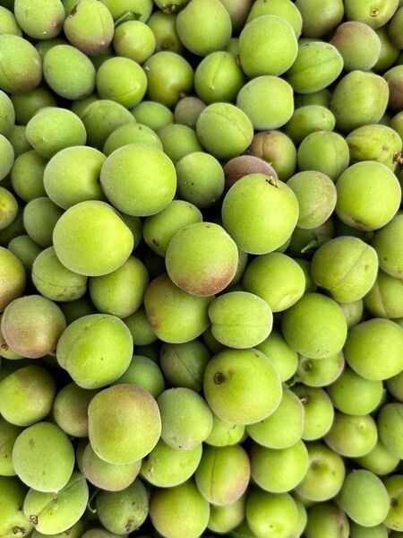 甲州小梅 3kg