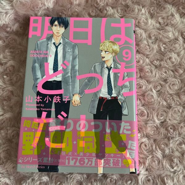 明日はどっちだ!9 山本小鉄子