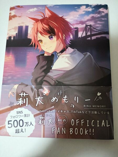莉犬めもりー