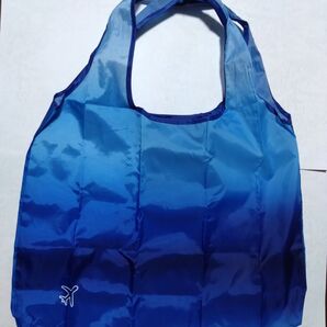 ANA国際線ビジネスクラスアメニティ エティンガーのポーチと折り畳みナイロンバッグ